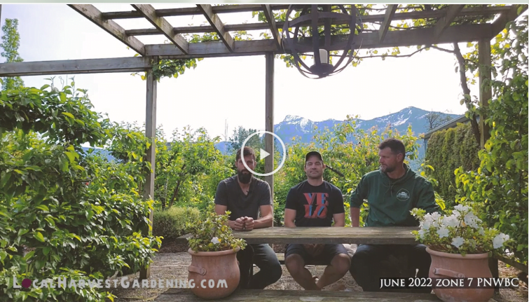 Local Harvest Organic Gardening