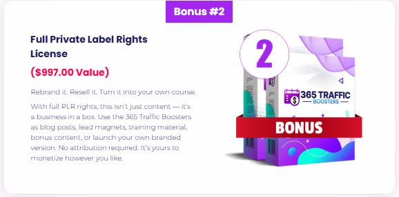 365 Traffic Boosters Review