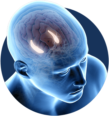 Billionaire Brain Wave Review