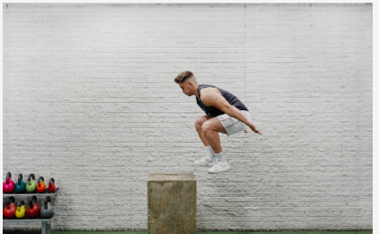 Vert Shock Vertical Jump Program
