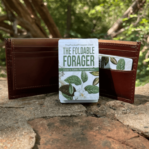 The Foldable Forager Review