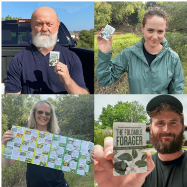 The Foldable Forager Review