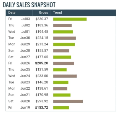 Newbie Success Formula Review